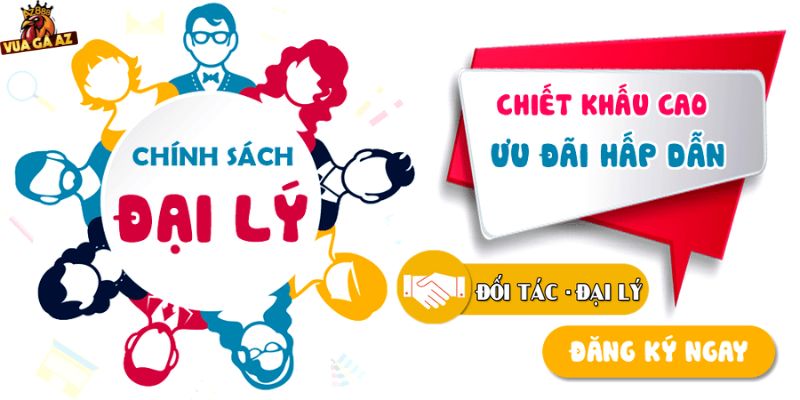 Chính Sách Và Điều Kiện Hợp Tác Đại Lý Tại Vua Gà AZ‎